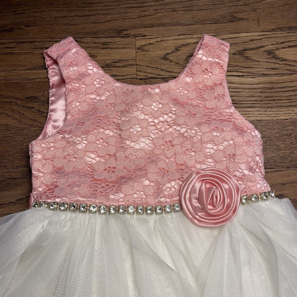 Size 3T Baby Girl Pink White Tulle Dress Jewel Belt Rose Party American Princess - Picture 10 of 16